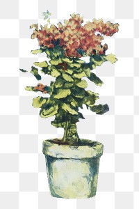 Vintage potted plant png, transparent background. Remixed by rawpixel. 