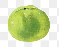 Green apple png fruit, transparent background. Remixed by rawpixel. 