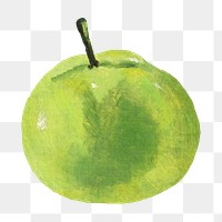 Green apple png fruit, transparent background. Remixed by rawpixel. 