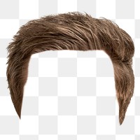 Man hairstyle png, transparent background