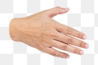 PNG Hands reaching out, transparent background