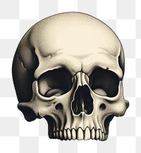 PNG Skull frame document stained. AI generated Image by rawpixel.