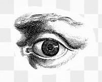 Png human eye monochrome sticker, drawing illustration, transparent background