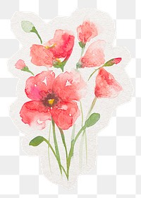 Poppy flower png sticker, watercolor illustration in transparent background