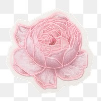 Neon rose png sticker, aesthetic decoration in transparent background