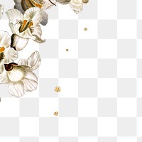 PNG white flower border sticker, vintage collage element, transparent background