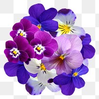 Purple orchid png flowers sticker, transparent background