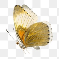 Aesthetic butterfly png sticker, transparent background