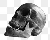 Skull png sticker, transparent background