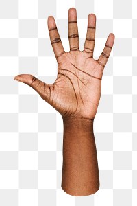 Hand raised png sticker, transparent background