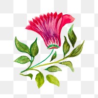 Drawing flower png sticker, transparent background, Albert Eyth’s artwork, digitally enhanced by rawpixel