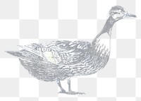 Duck png realistic sticker, negative color, transparent background