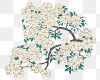 Japanese cherry blossom png on transparent background.    Remastered by rawpixel. 