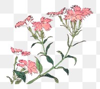 Hokusai’s pink flowers png on transparent background.   Remastered by rawpixel. 