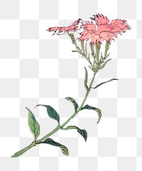 Hokusai’s pink flowers png on transparent background.   Remastered by rawpixel. 