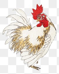 Vintage rooster png on transparent background.   Remastered by rawpixel. 