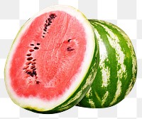 Watermelon fruit png sticker, transparent background