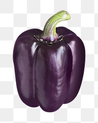 Purple bell pepper png sticker, transparent background