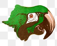 Angelo Jank's parrot png, vintage illustration, transparent background.  Remastered by rawpixel