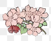 Pink flowers png, vintage botanical illustration, transparent background. Remastered by rawpixel