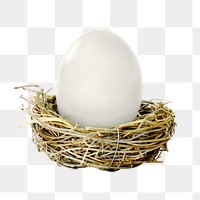 Duck egg png sticker, transparent background