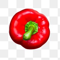 Bell pepper png sticker, transparent background 