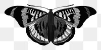 Black butterfly png sticker, vintage insect on transparent background. Remixed from the artwork of E.A. Séguy.