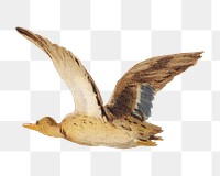 Flying goose png sticker, vintage animal on transparent background.   Remastered by rawpixel