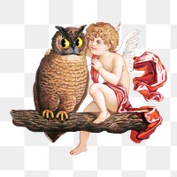Cherub png sitting on a tree branch, speaking to an owl illustration on transparent background.   Remastered by rawpixel
