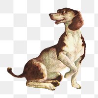 Vintage dog png sticker, animal on transparent background.   Remixed by rawpixel.