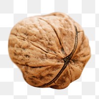 Walnut shell png sticker, transparent background