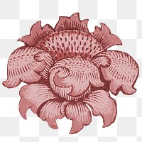 Red flower png William Morris sticker, transparent background, remixed by rawpixel