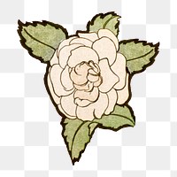 White rose png Alphonse Mucha’s famous Art Nouveau artwork sticker, transparent background, remixed by rawpixel