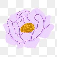 Purple peony png flower sticker, transparent background