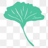 Green ginkgo leaf png illustration sticker, transparent background