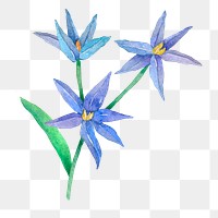 Blue flower png watercolor sticker, transparent background