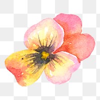 PNG pink watercolor flower sticker, transparent background