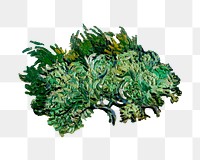 Van Gogh's tree png oil painting sticker, transparent background. Remastered by rawpixel.