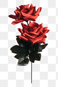 Red rose png sticker, botanical, transparent background