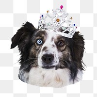 Funny crowned dog png sticker, pet animal on transparent background