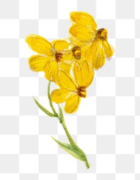 PNG greenstem paper flower sticker, transparent background