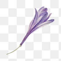 PNG purple grass nut flower sticker, transparent background