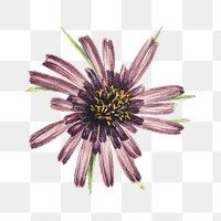 Purple flower png botanical sticker, transparent background