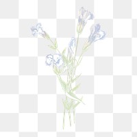 Blue flower png vintage fringed gentian sticker, transparent background