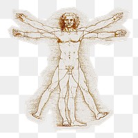 Leonardo da Vinci's png Vitruvian Man sticker, transparent background, remixed by rawpixel.