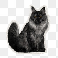 Angora cat png sticker, pet, paper cut on transparent background