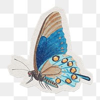 Blue butterfly png insect sticker, paper cut on transparent background