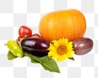 Autumn harvest png vegetables  sticker, transparent background