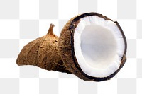 Coconut tropical fruit png, transparent background