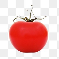 Tomato vegetable png, transparent background